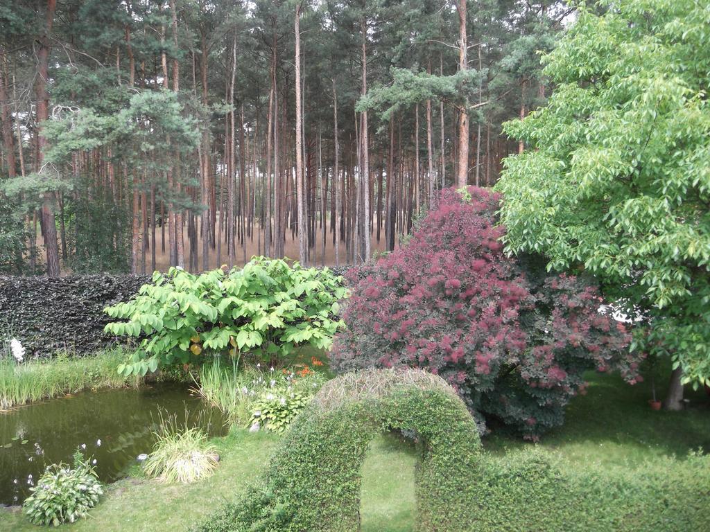 Amselgarten Lübben エクステリア 写真