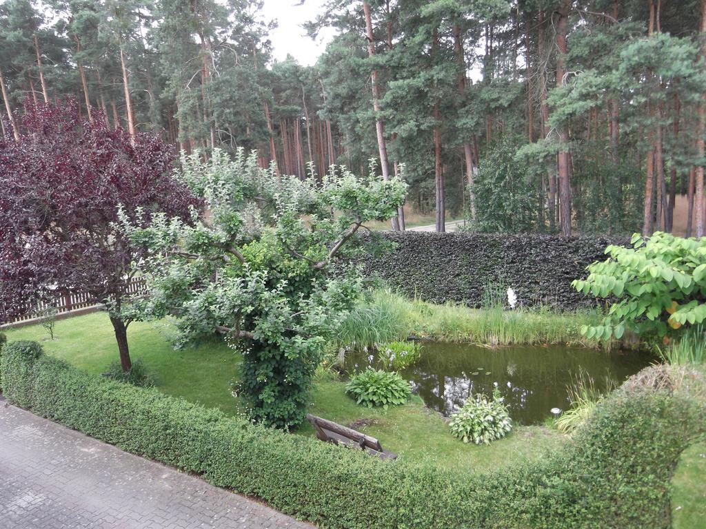 Amselgarten Lübben エクステリア 写真
