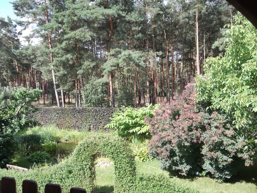 Amselgarten Lübben エクステリア 写真